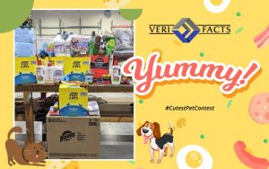 VeriFacts Happy Tails Pet Contest